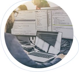 Development Development