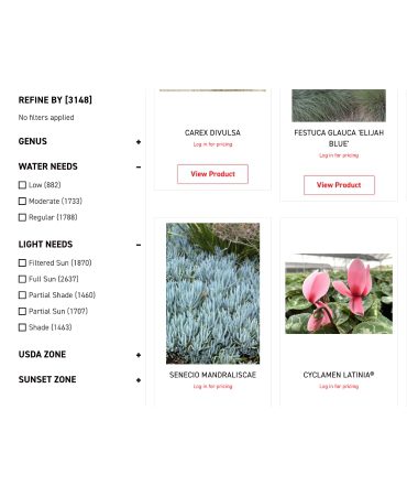 California Native and Drought Resistant Emerald Carpet Plant on Devil Mountain Nursery