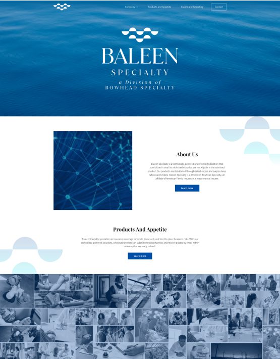 About Us page for Baleen Specialty a division of Bowhead Underwriting Services