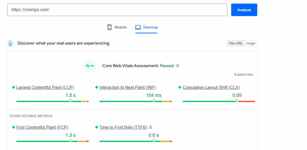 Updated Site Speed for Chomps’ home page