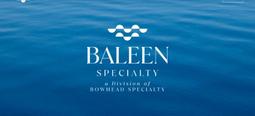 Baleen Specialty homepage screenshot