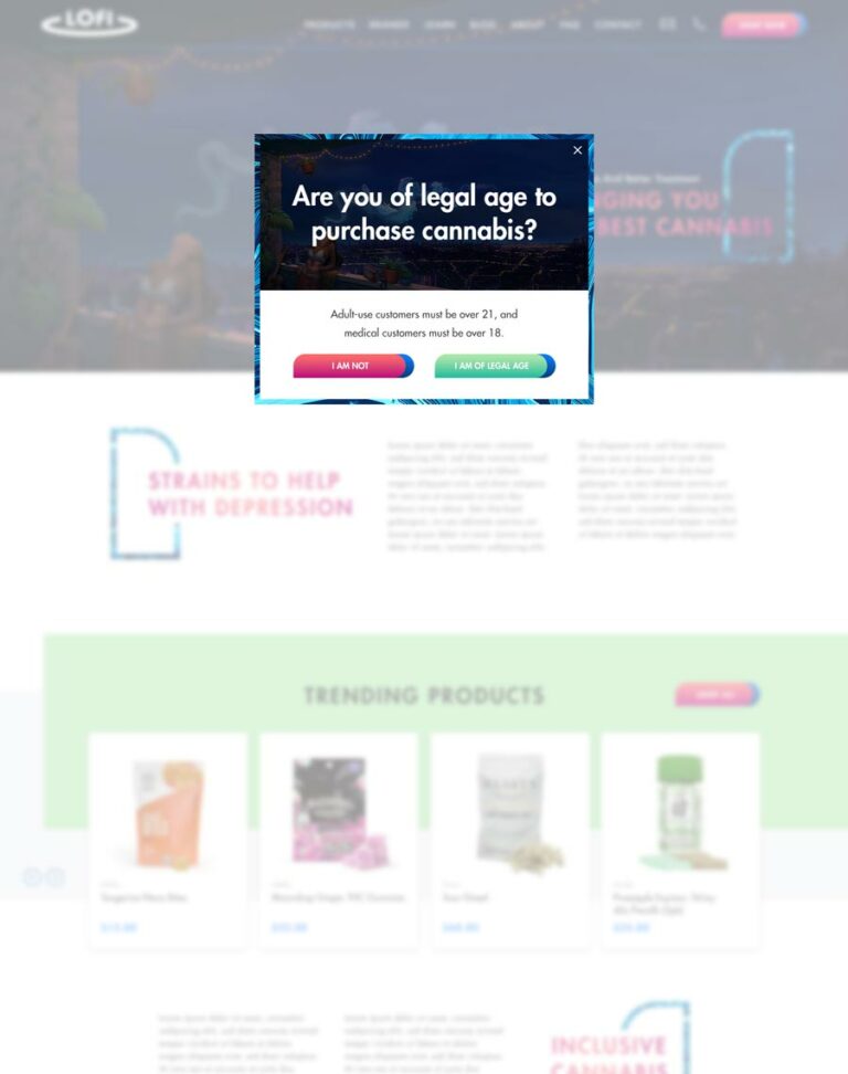Age Verification Popup On LoFi Delivery’s Home Page