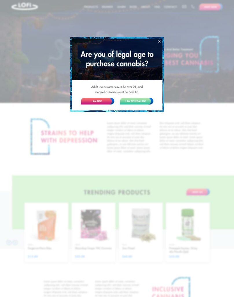 Age Verification Popup On LoFi Delivery’s Home Page