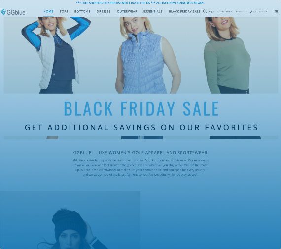 GG Blue’s old home page with oversized static banner