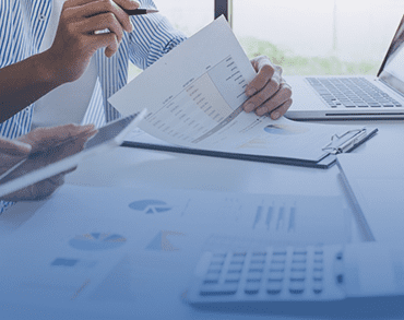 Google Penguin Recovery | Everything You Need to Know