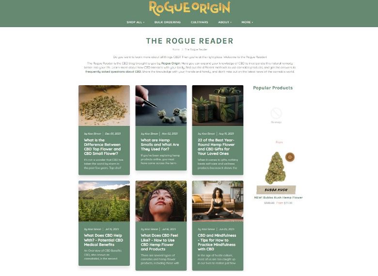 Rogue Origin blog