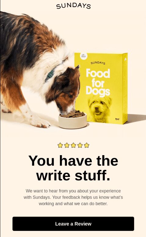 Sundays review request email