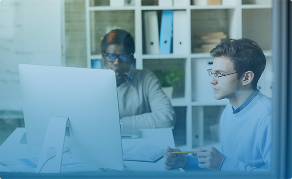 Phase 2: Web Development