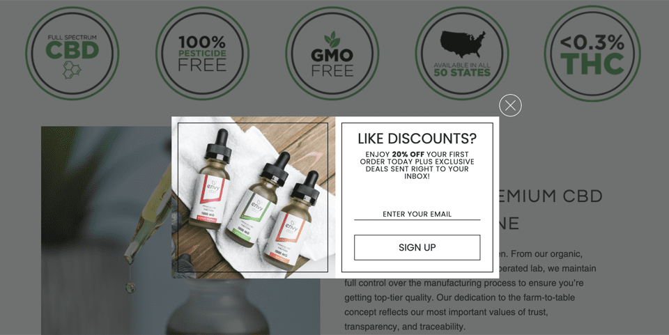 Screenshot of a 20% discount offer for email signups