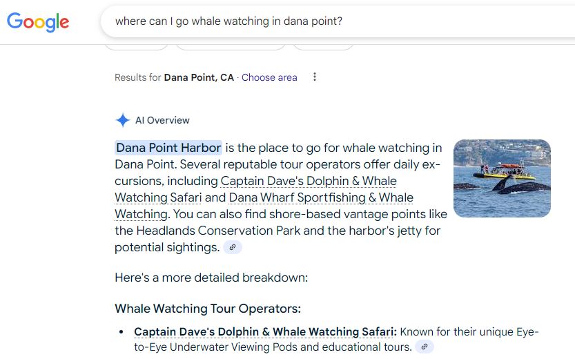 Google search query for “Where can I go whale watching in Dana Point?”