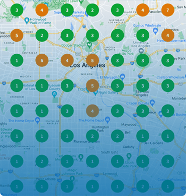 local search grid image
