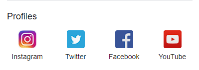 Google search of a celeb that shows their social media profile links