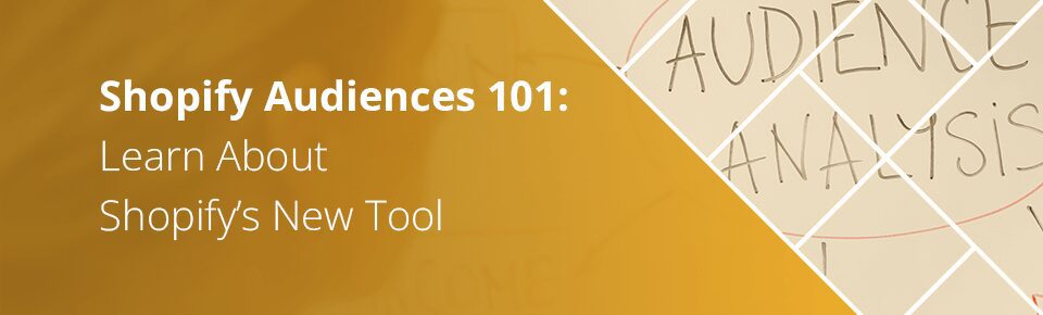 Shopify Audiences 101: Learn About Shopify’s New Tool