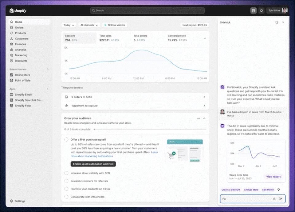 Shopify Sidekick demo screen