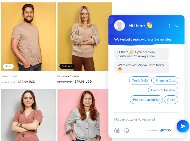 Tidio chatbot on a storefront