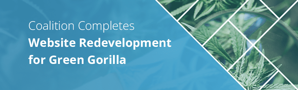 Coalition Completes Website Redevelopment for Green Gorilla